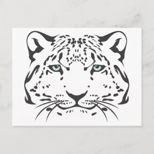 Serious Snow Leopard Postkarte