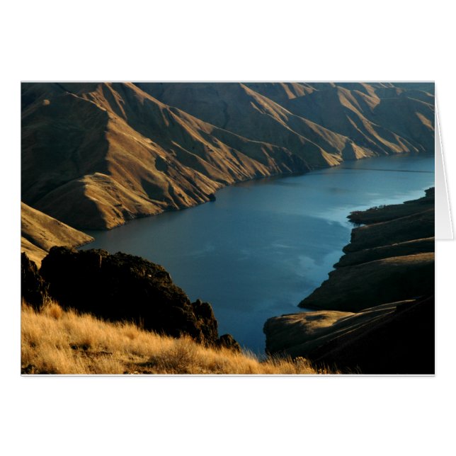 SERPENT AMORTI : Rivière de décembre (Devant horizontal)