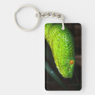 Serpent de vipère de la mine de Stejneger vert