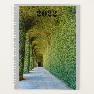serre verte ficus repens sur planificateur