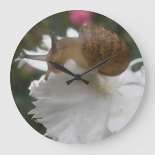 Serrure du jardin et horloge murale de l'oeillet b