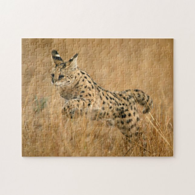 Serval (Leptailurus Serval) springend (Horizontal)