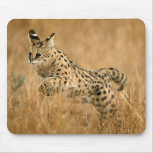 Serval (Leptailurus Serval) springend Mousepad