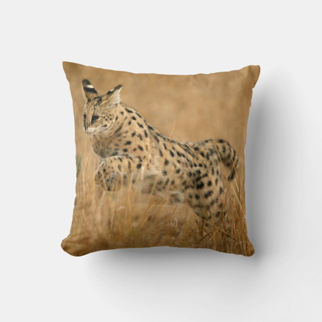 Serval (Leptailurus Serval) springt Kissen (Vorderseite)