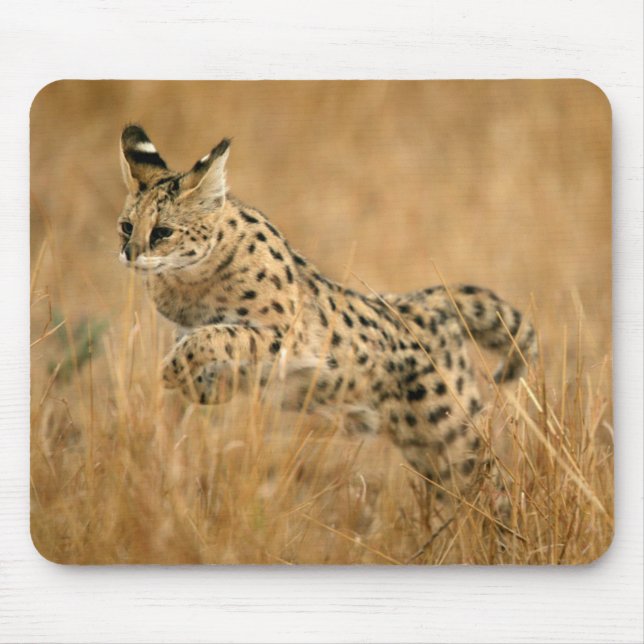 Serval Mousepad (Vorne)
