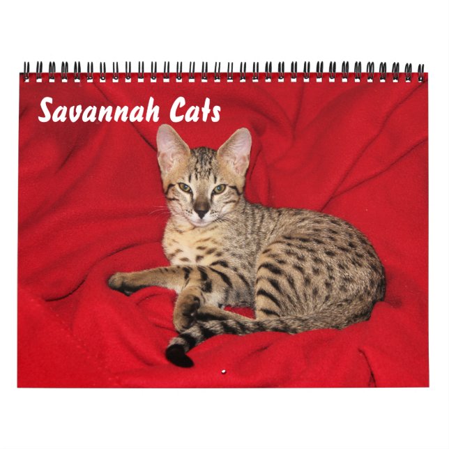 Serval Savannah Cat Calendar Kalender (Titelbild)