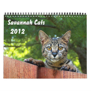 Serval Savannah Cat Calendar Kalender