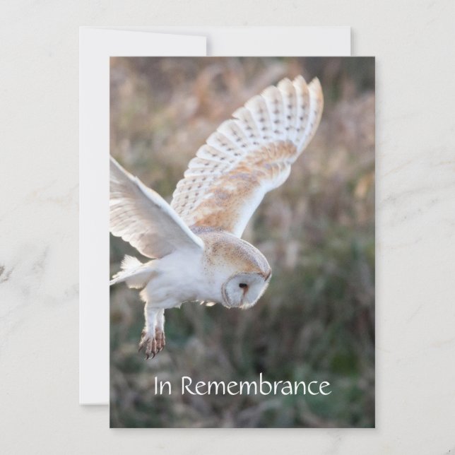 Service commémoratif Invitation Barn Owl Bird Flig (Devant)