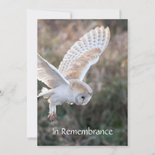 Service commémoratif Invitation Barn Owl Bird Flig