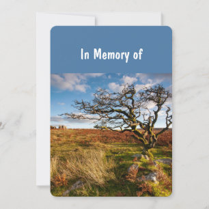 Service commémoratif Invitation beau désert Savann