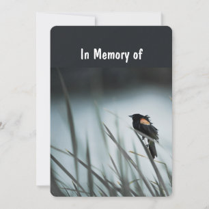 Service commémoratif Invitation Marsh Blackbird Ma