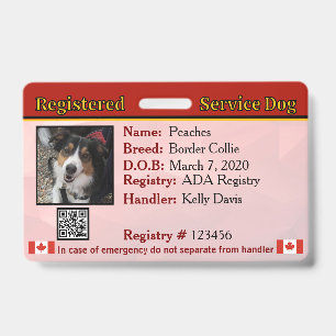 Service Dog Canada Abzeichen Ausweis