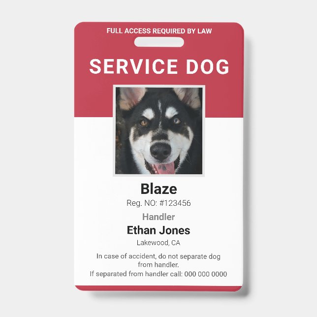Service Dog Foto Red Ausweis (Vorderseite)
