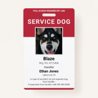Service Dog Foto Red