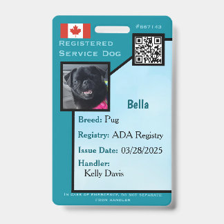 Service Dog ID Card aquamarines vertikales Abzeich Ausweis