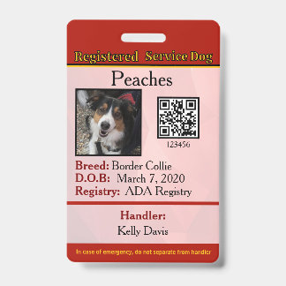 Service Dog Kanada vertikales Abzeichen Ausweis