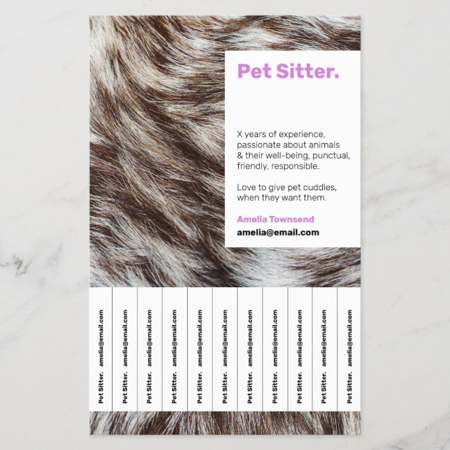 Service für Haustiere und modernes Lila Design Flyer (Vorne)