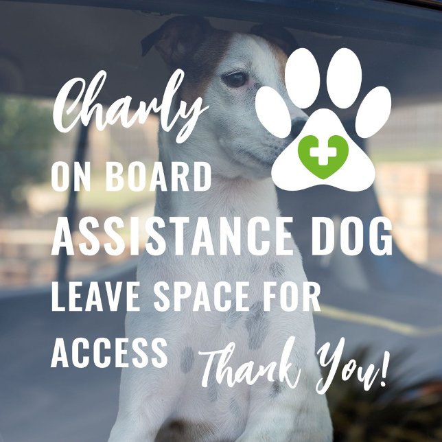 Service-Hund an Bord eines leichten, grünen, mediz Fensteraufkleber ("Assistance Dog on Board" car window decal for service dog owners with light green medical logo.)