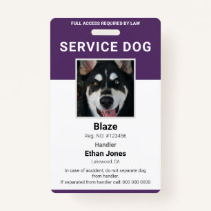 Service Hund Foto Lila Ausweis
