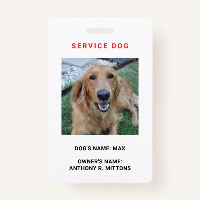 Service Hund-ID-Abzeichen Ausweis (Vorderseite)