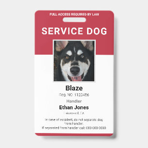 Servicehund-Foto Rot Ausweis