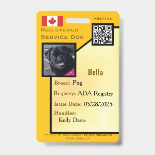 Servicehund-ID-Karte gelb vertikal Badge Ausweis