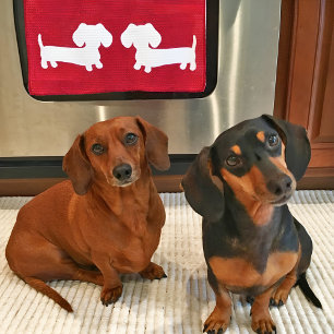 Serviette Dachshund Red Plat pour Amoureux de les 