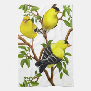 Serviette de cuisine américaine d'oiseaux de