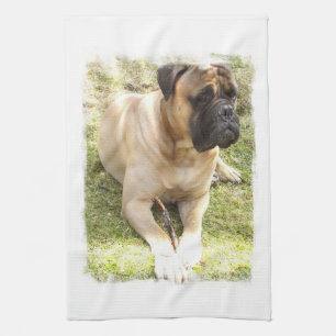 Serviette de cuisine anglaise de mastiff