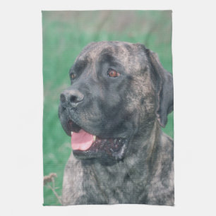 Serviette de cuisine Brindle de chien de mastiff