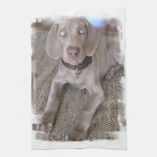 Serviette de cuisine de chiot de Weimaraner
