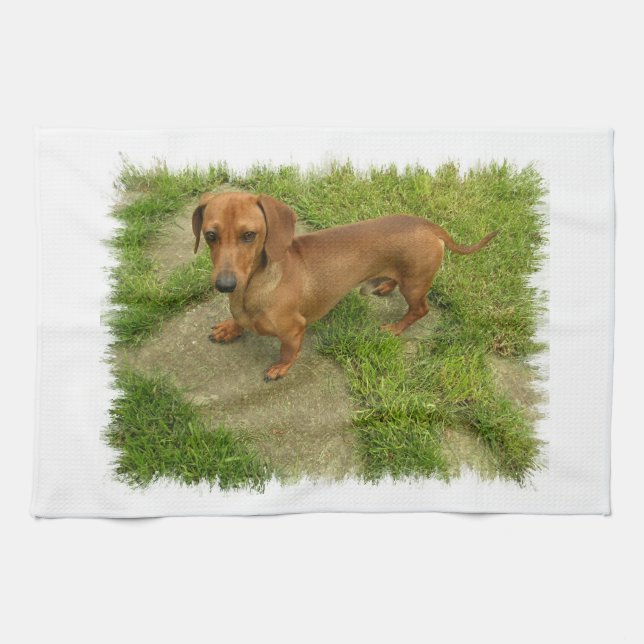 Serviette de cuisine de Daschund (Horizontal)