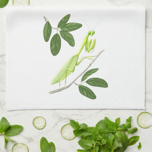 Serviette de cuisine de mante de prière (Plié)