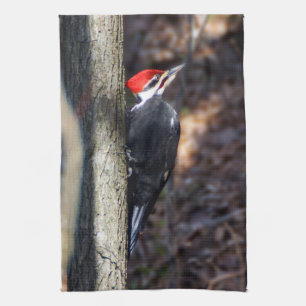 Serviette de cuisine de pivert de Pileated