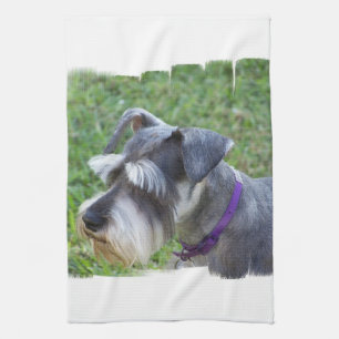 Serviette de cuisine de Schnauzer