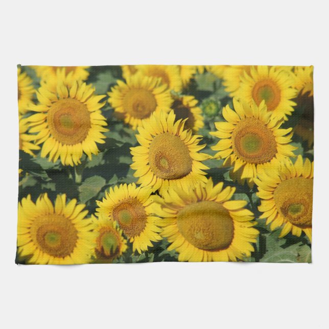 Serviette de cuisine de tournesols 16" x 24" (Horizontal)