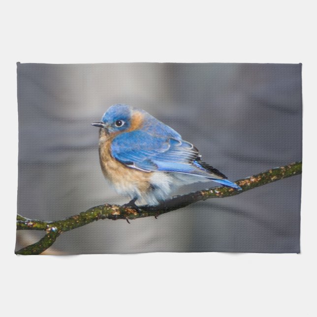 Serviette de cuisine orientale d'oiseau bleu (Horizontal)