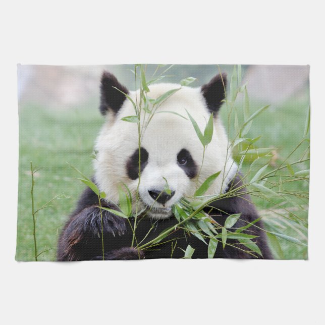 serviette de cuisine Photo panda géant, animaux 02 (Horizontal)