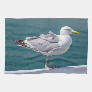 Serviette de cuisine Seagull