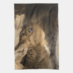 Serviette de cuisine soif Moose Calf