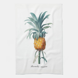 Serviette de cuisine vintage d'ananas