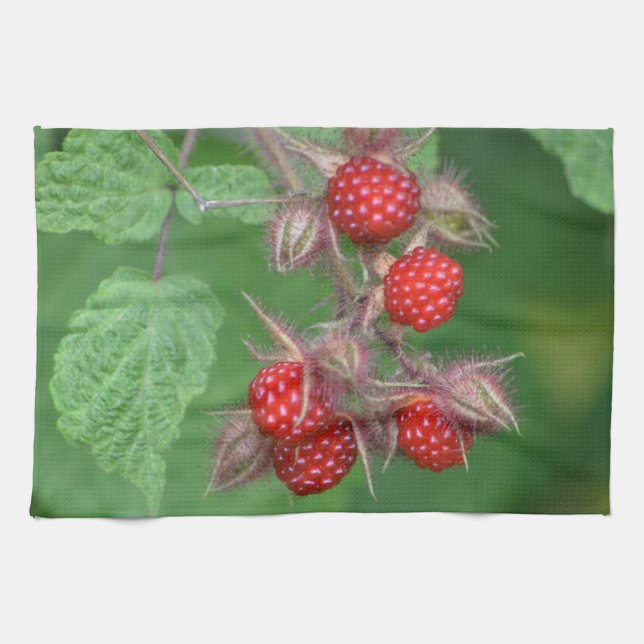 Serviette de framboise (Horizontal)