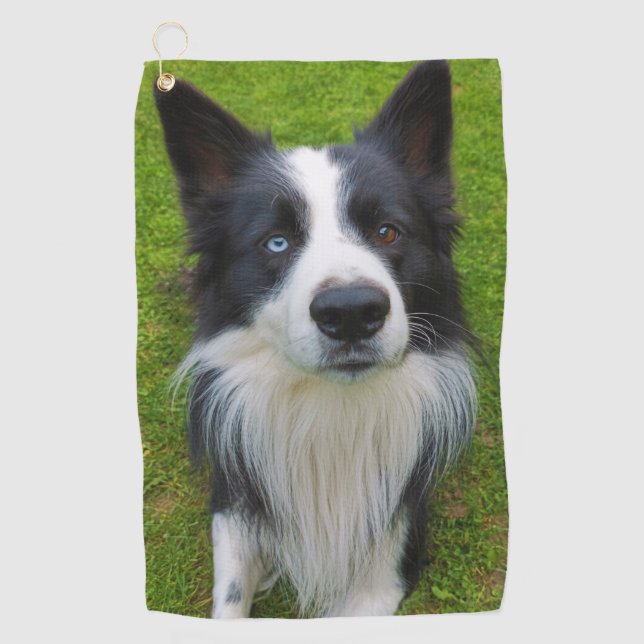 Serviette De Golf Bordure Collie (Devant)