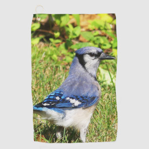 Serviette De Golf Jay bleu du nord