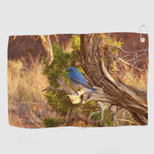 Serviette De Golf Le merle bleu des montagnes du parc national Arche