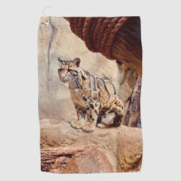 léopard nébuleux image nature faune exotique