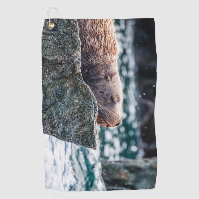 Serviette De Golf Lion De Mer Dans La Baie De Résurrection, Alaska (Devant)