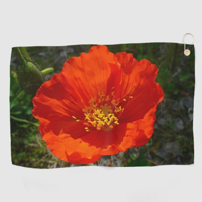 Serviette De Golf Pavot rouge de l'Alaska Fleur colorée (Horizontal)