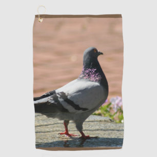 Serviette De Golf Photographie de pigeon