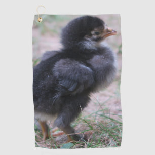 Serviette De Golf poulet, poussins, poulets, poussins, animal, oisea
